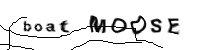 image to protect against spammers